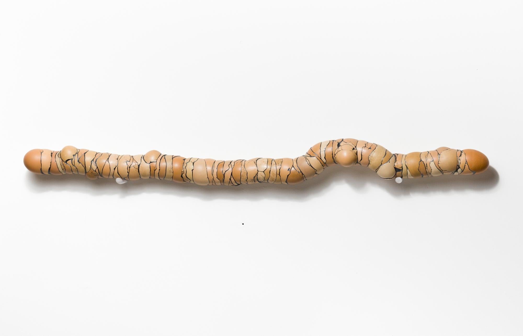 This piece titled "Walking Stick" is an original piece by Kate VanVliet and is made from eggshells, mica,  PVA. This piece measures 4”h x 32”w x 3”d and comes with 3-D printed screw covers to display sculpture horizontally on the wall.

Kate