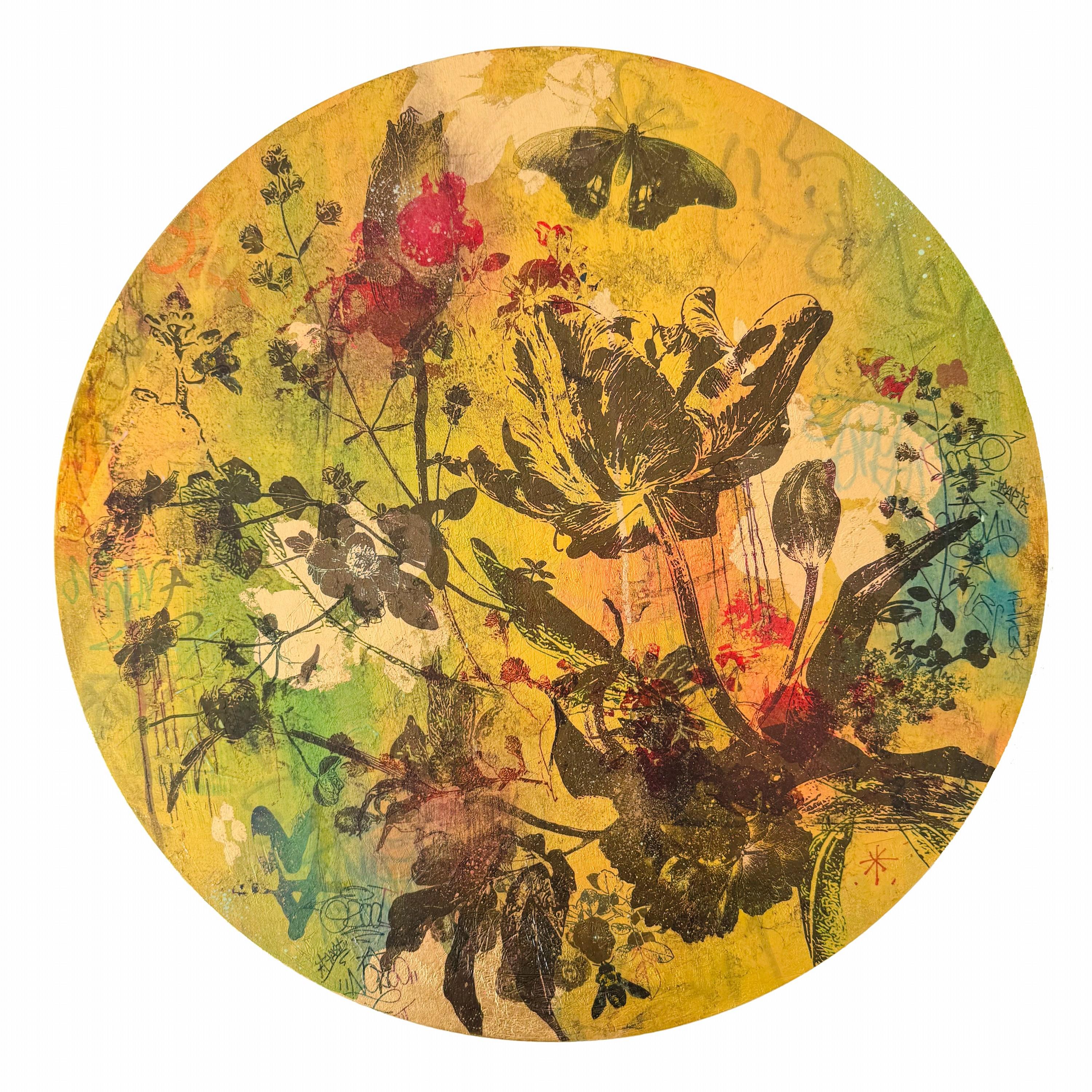 Piccolo Giardino Numero 12 (Botanici, Borgogna, Farfalle, Oro, ~31% OFF)