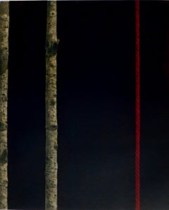 Katsunori Hamanishi Japanese Mezzotint Print, 1989, "Division - Work No. 5"