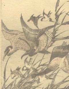 Hokusai, Ukiyo-e, Japanese Woodblock Print, Manga, Geese, Bird and Flower, Edo
