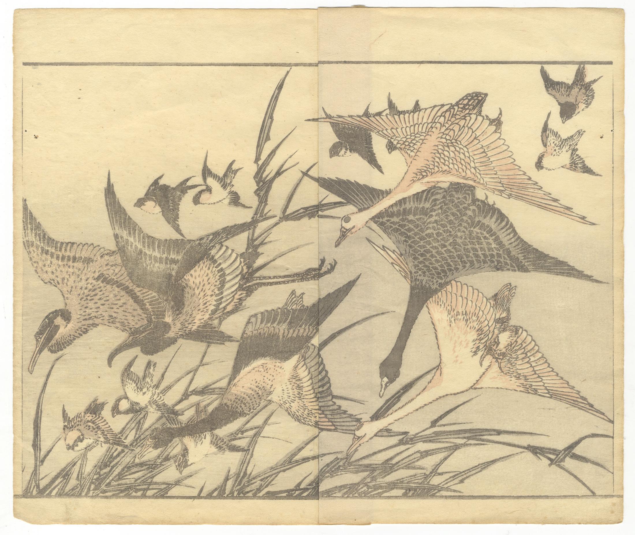 Katsushika Hokusai Portrait Print - Hokusai, Ukiyo-e, Japanese Woodblock Print, Manga, Geese, Bird and Flower, Edo