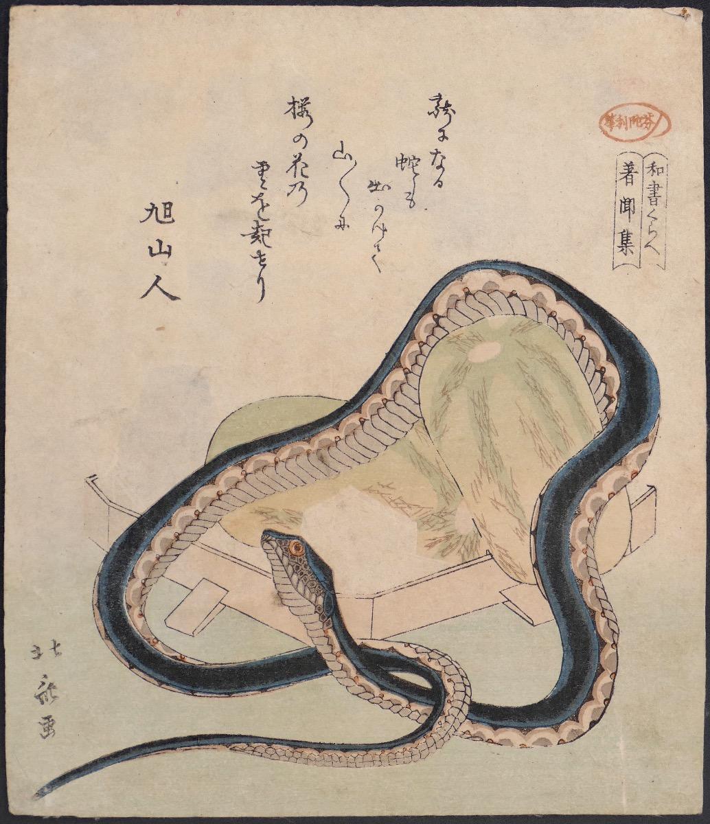 hokusai snake