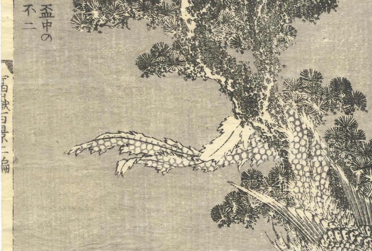 Edo Katsushika Hokusai Ukiyo-E Japanese Woodblock Print 100 Views of Mt. Fuji For Sale