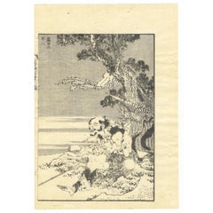 Katsushika Hokusai Ukiyo-E Japanese Woodblock Print 100 Views of Mt. Fuji