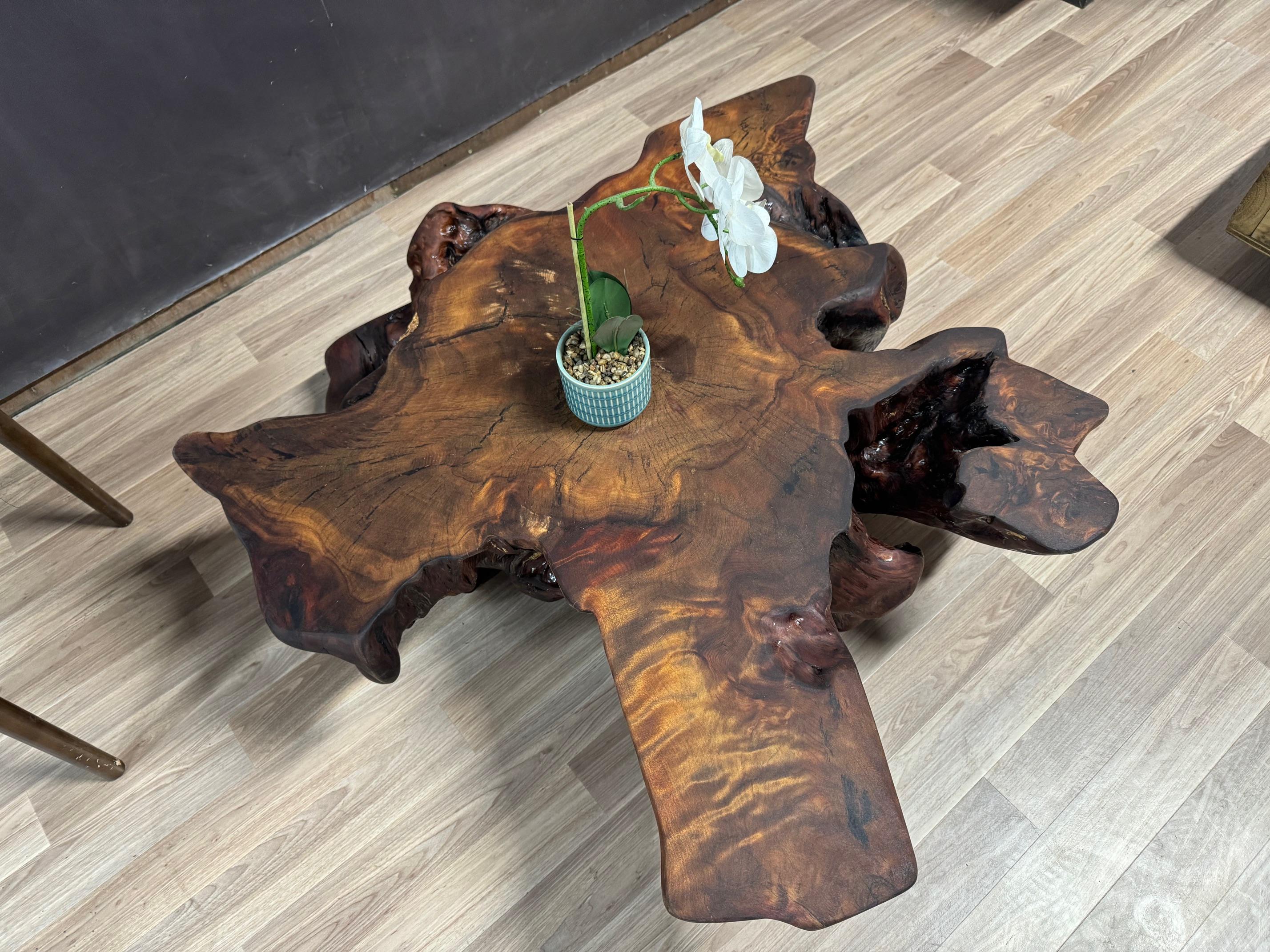 For the limited edition, THE TITANS is a series of collectable Ancient Kauri stump tables. Every TITAN comes with a certificate of authenticity.

Ancient Kauri or Swamp Kauri refers to prehistoric Kauri forests, buried and preserved in peat swamp up