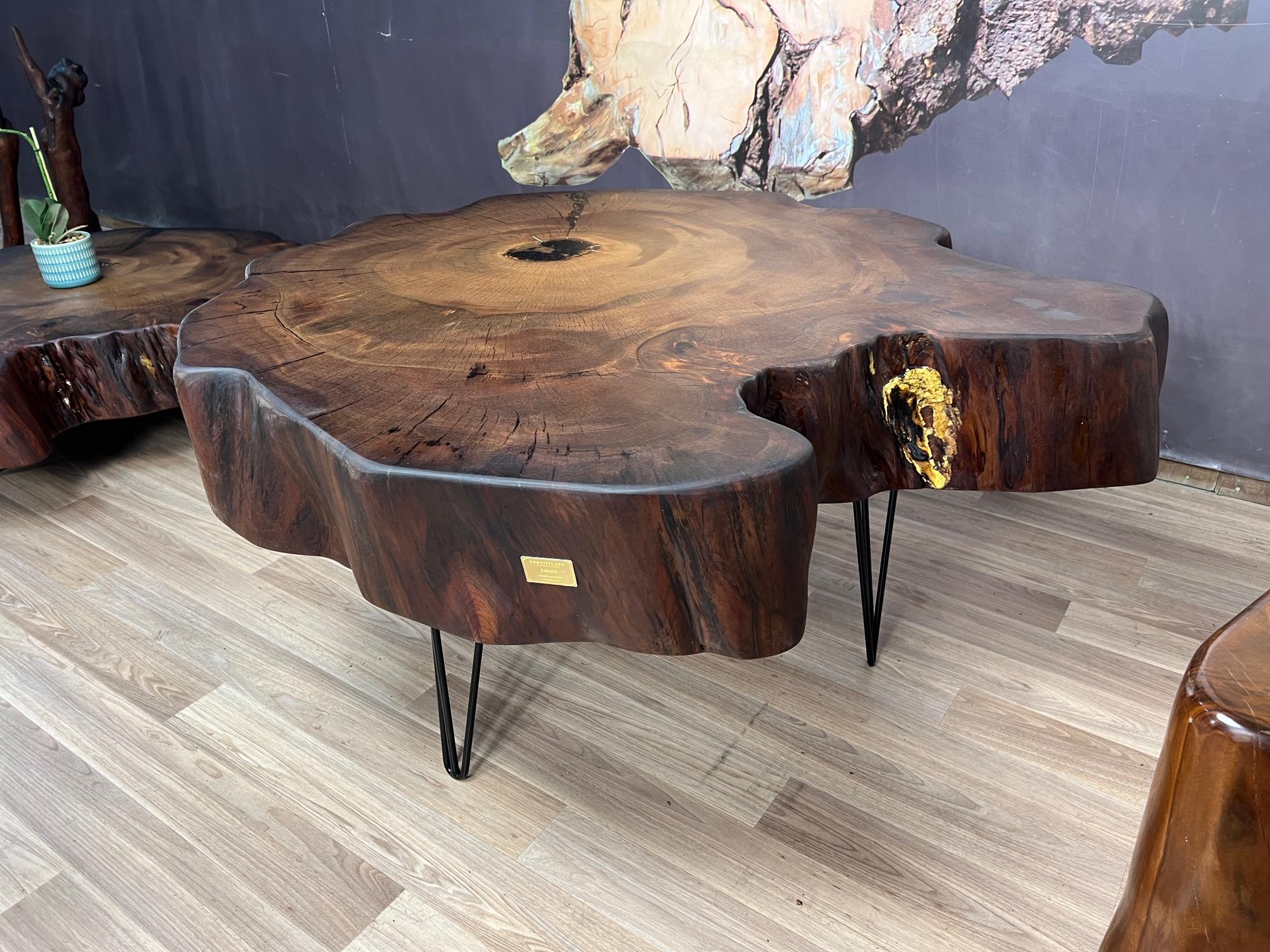 Pour l'édition limitée, THE TITANS est une série de tables de souche Ancient Kauri à collectionner. Chaque TITAN est accompagné d'un certificat d'authenticité.

Le Kauri ancien ou Kauri des marais fait référence aux forêts préhistoriques de Kauri,