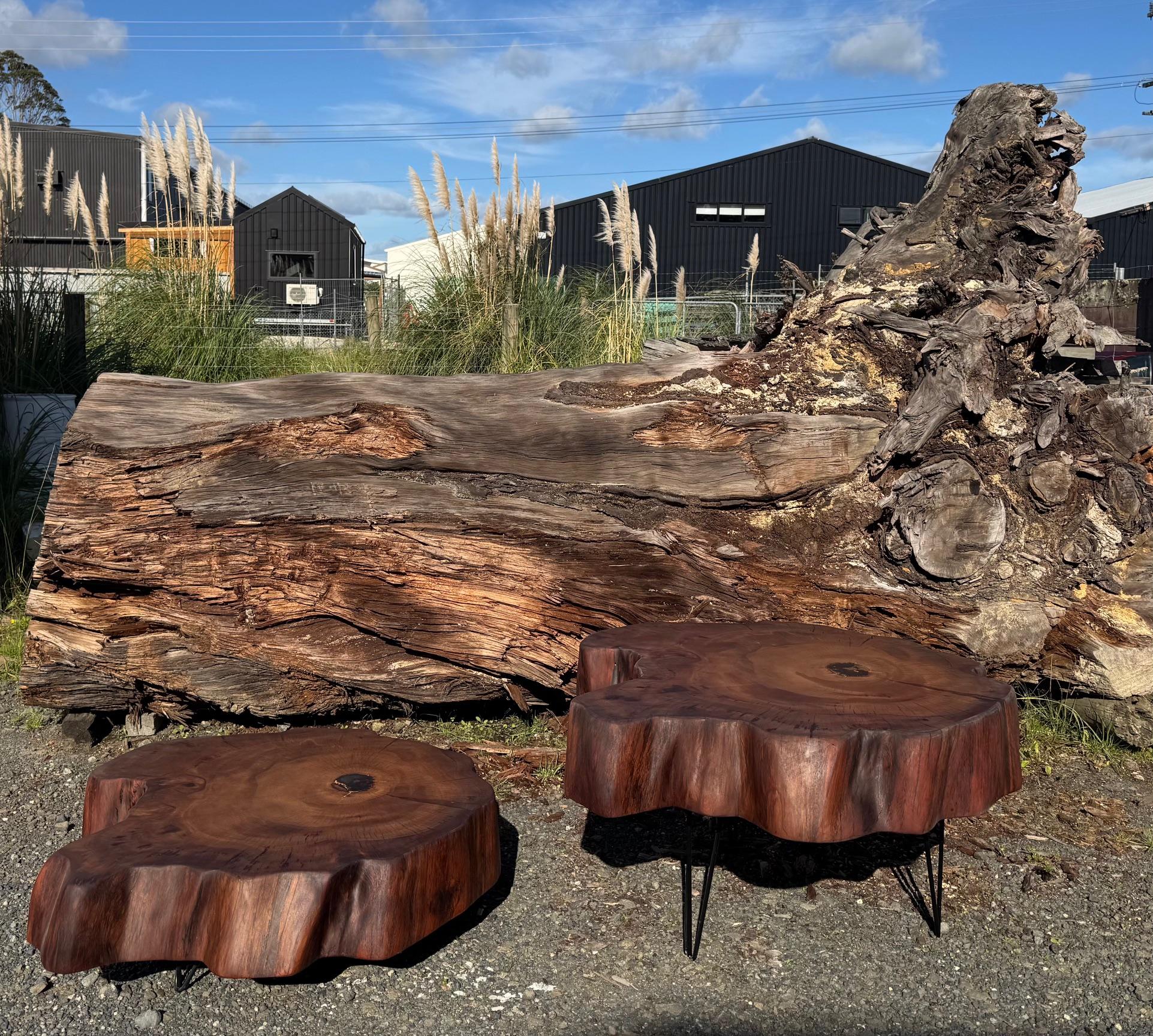 For the limited edition, THE TITANS is a series of collectable Ancient Kauri stump tables. Every TITAN comes with a certificate of authenticity.

Ancient Kauri or Swamp Kauri refers to prehistoric Kauri forests, buried and preserved in peat swamp up