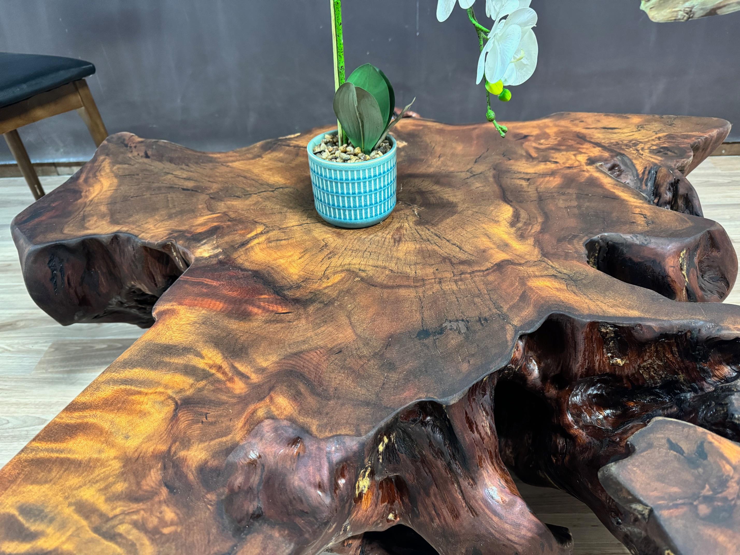 Kauri Coffee Table in Solid Ancient Kauri Wood In New Condition For Sale In Kumeu, NZ