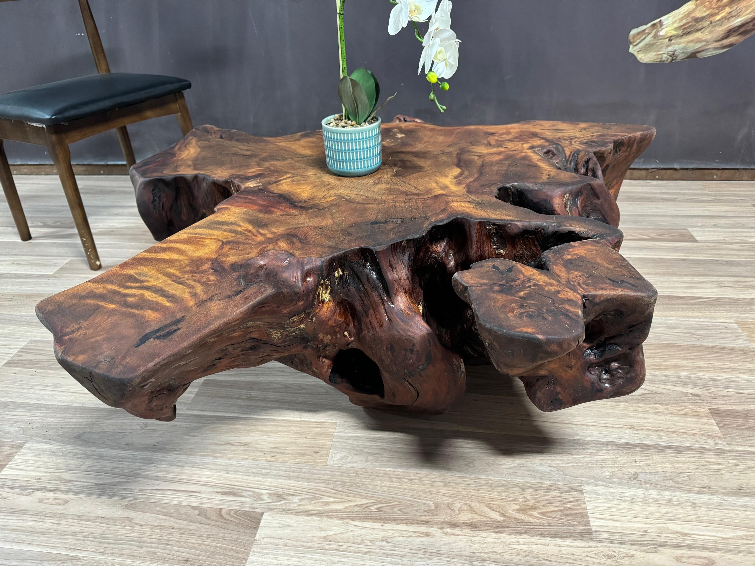 Contemporary Kauri Coffee Table in Solid Ancient Kauri Wood For Sale