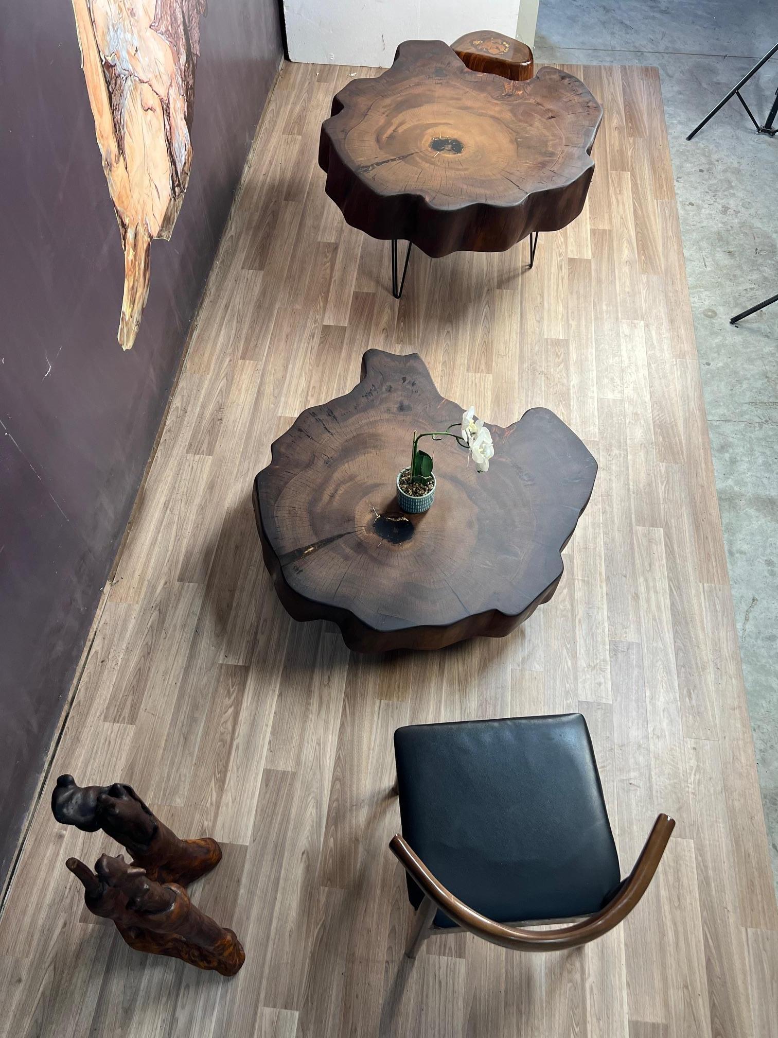 XXIe siècle et contemporain Table basse Kauri en bois massif de Kauri ancien en vente