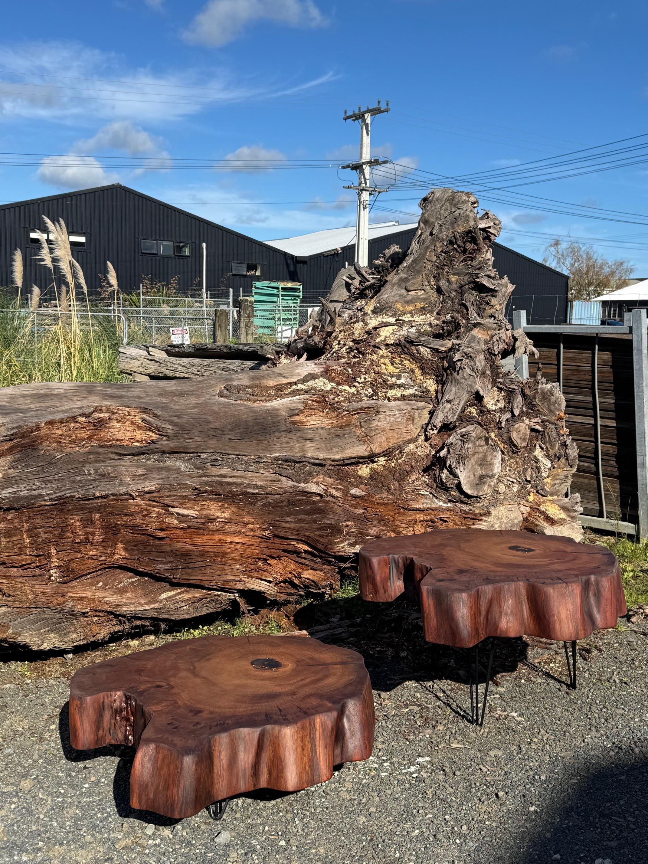 Contemporary Kauri Coffee Table in Solid Ancient Kauri Wood For Sale