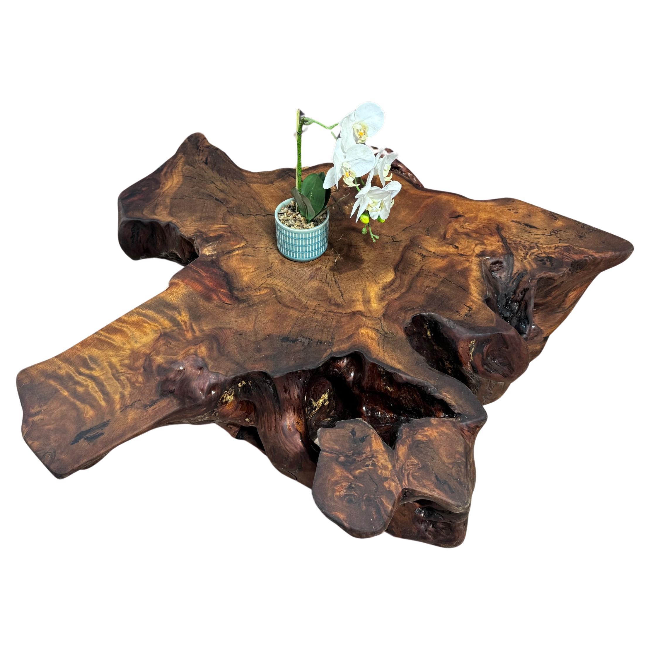 Kauri Coffee Table in Solid Ancient Kauri Wood For Sale