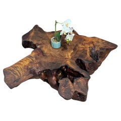Tavolino da caffè Kauri in legno massiccio di Kauri antico