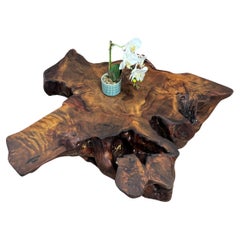 Kauri Coffee Table in Solid Ancient Kauri Wood