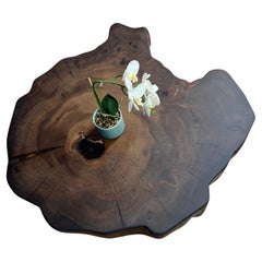 Mesa de centro Kauri de madera maciza de kauri antiguo