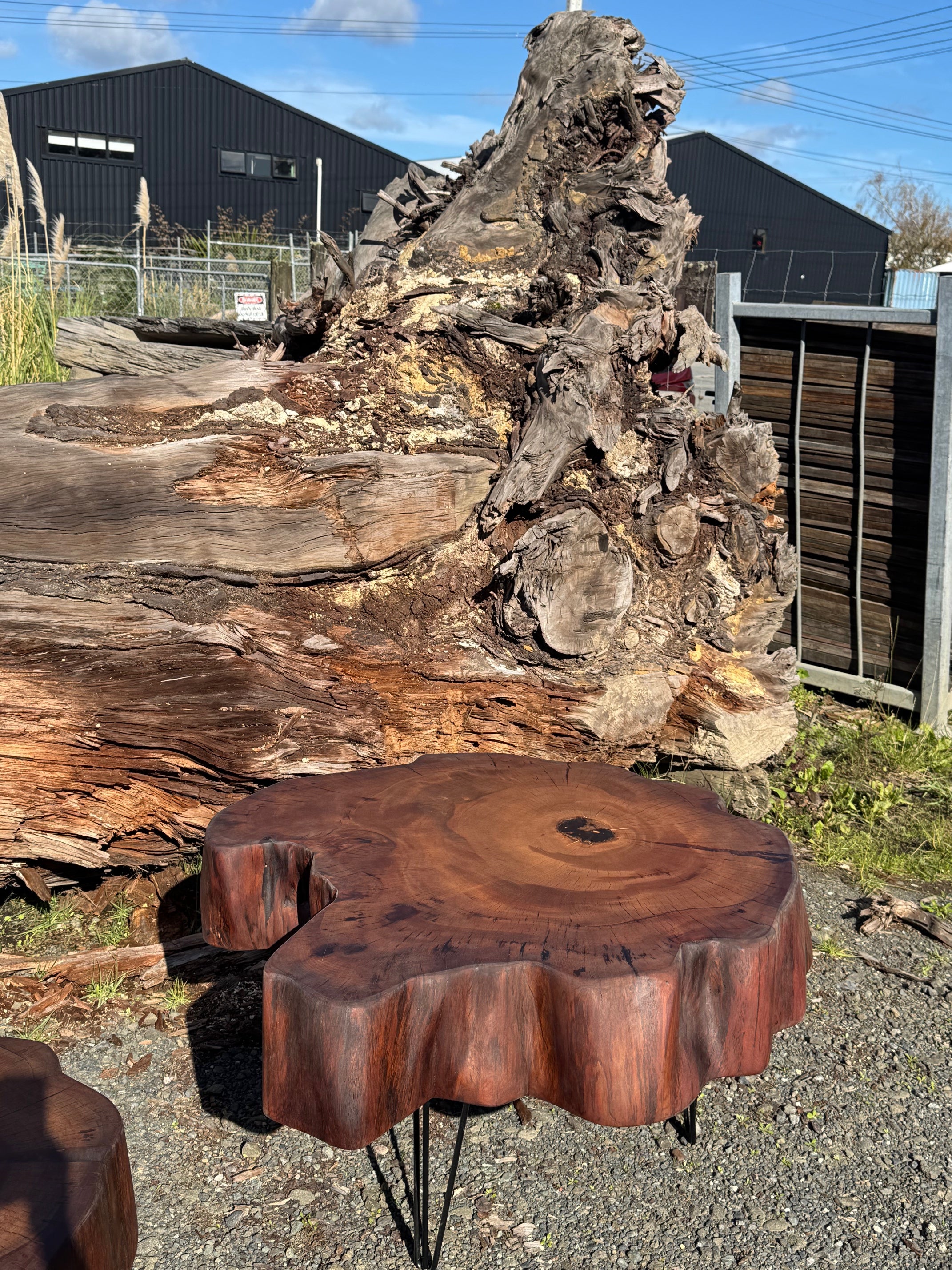 Kauri Coffee Table in Solid Ancient Kauri Wood