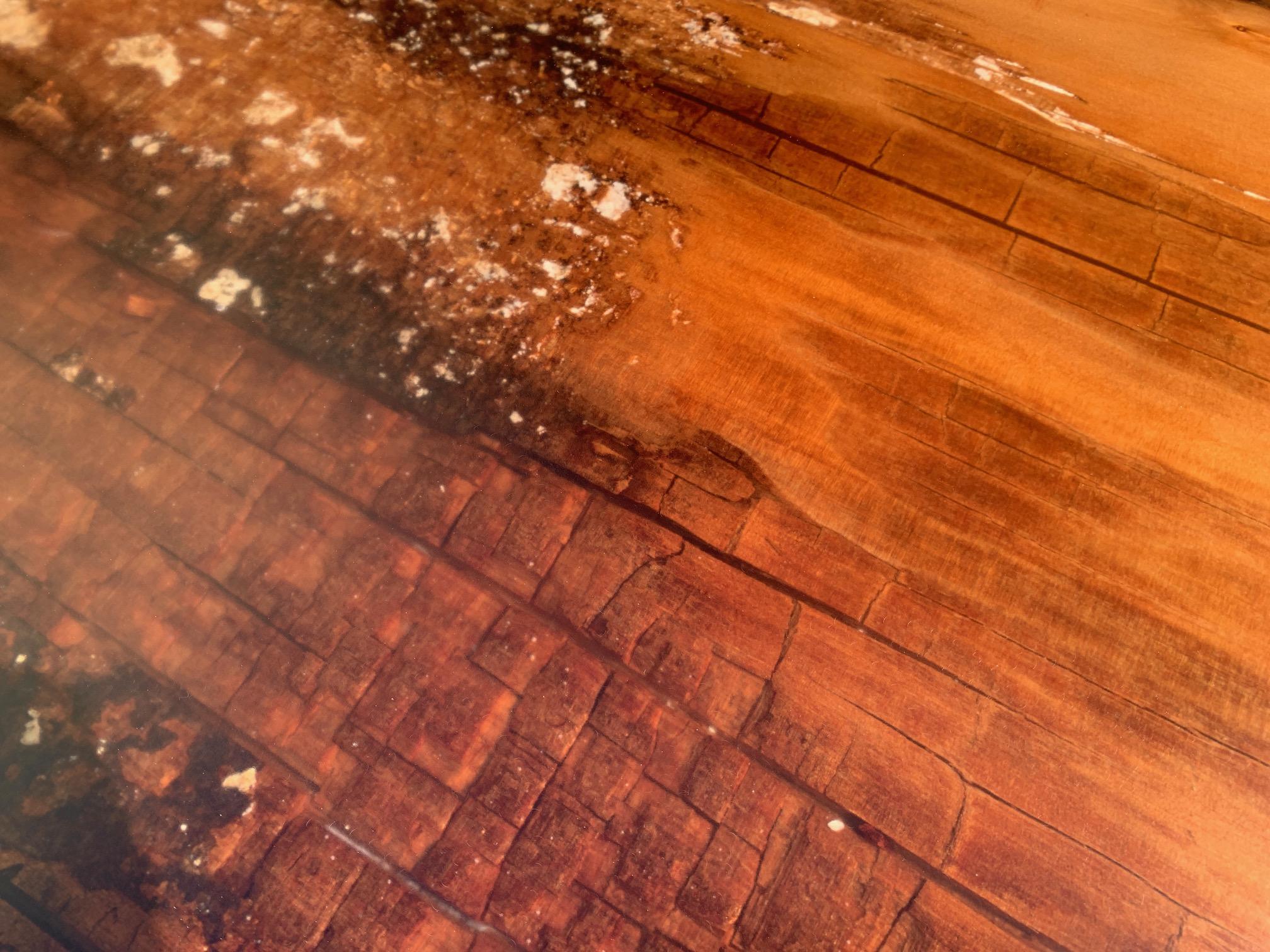 New Zealand Kauri Dining Table in Solid Ancient Kauri Wood and Amber For Sale