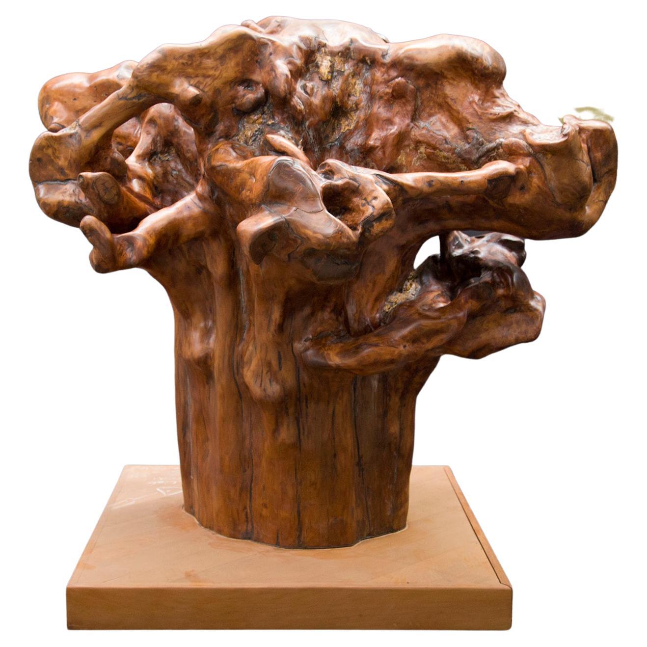 Kauri Sculpture in Solid Ancient Kauri Wood For Sale