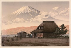 Mont Fuji, Narusawa (fin de l'automne) - Impression d'une vie