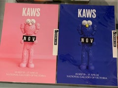 Blue and Pink KAWS "Companion" NGV show posters Victoria Australia