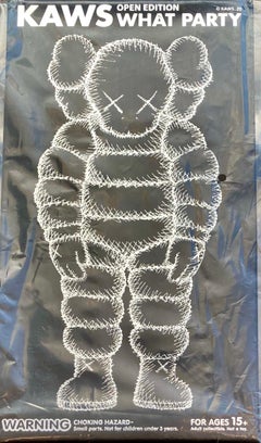 KAWS black WHAT PARTY (KAWS Companion black)
