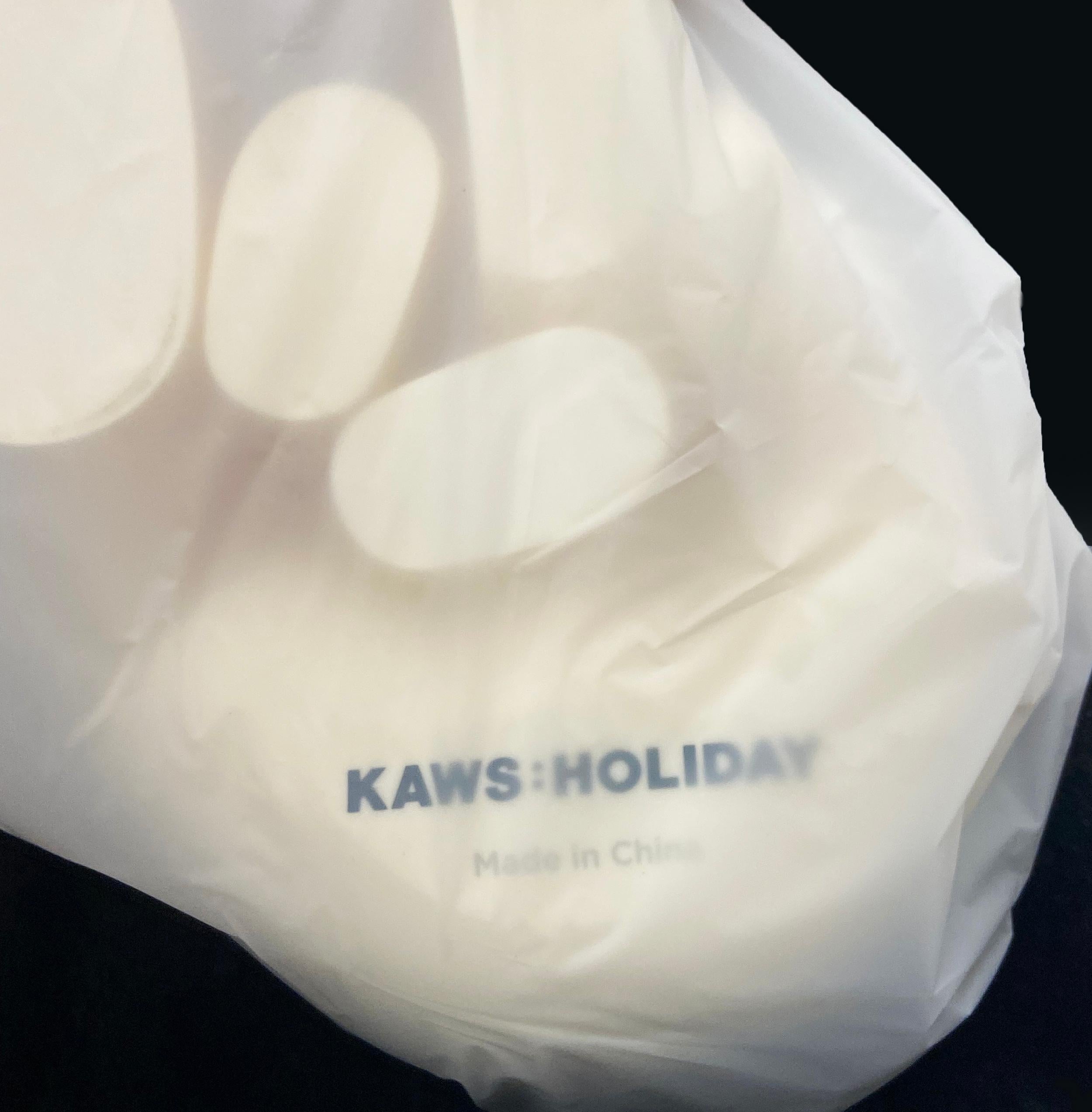 KAWS HOLIDAY Changbai white (KAWS white chanbgai)  3