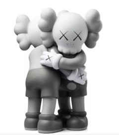 KAWS Together Companion (grau) – neu in Originalverpackung mit Hologramm