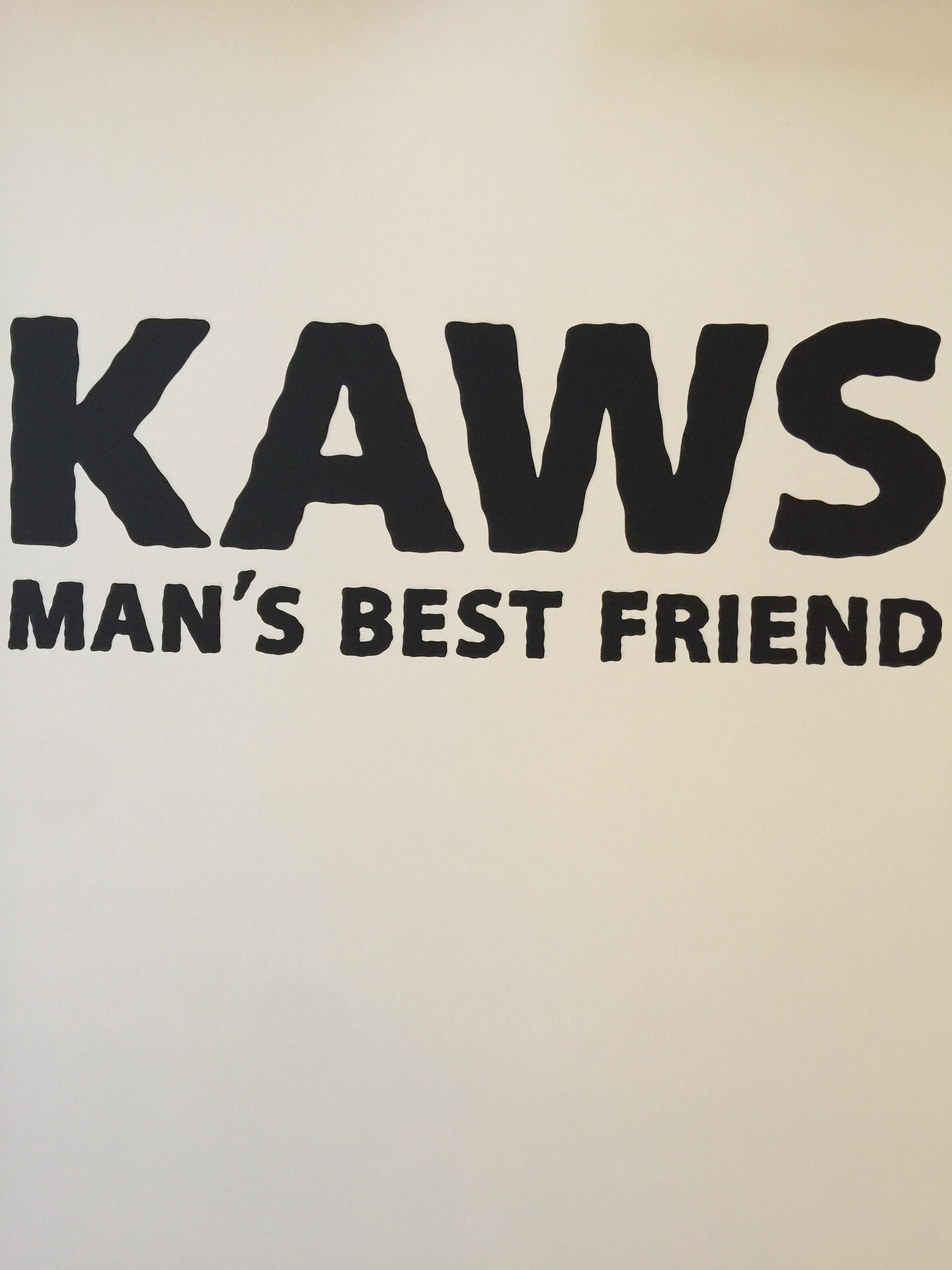kaws man's best friend