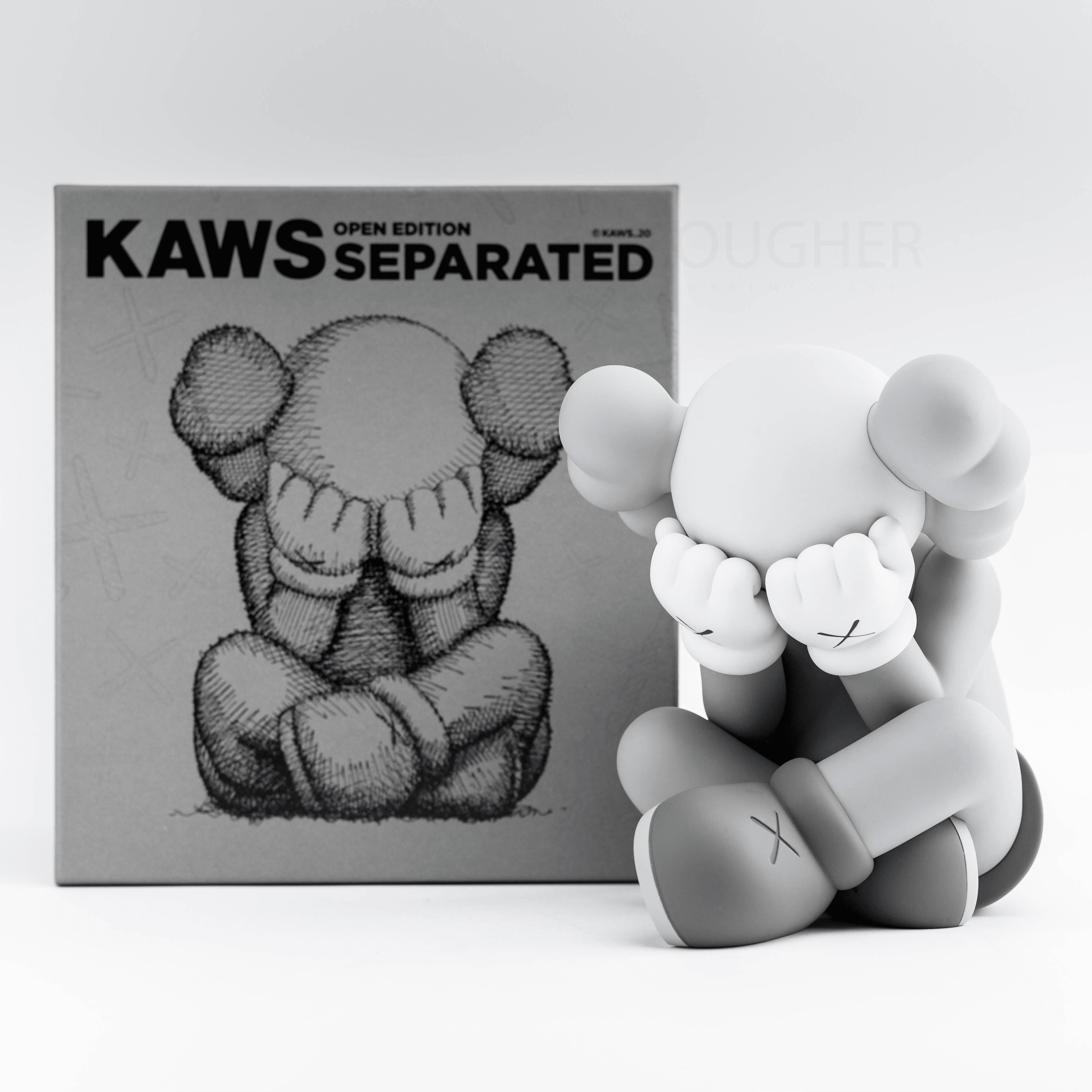 kaws open edition separated