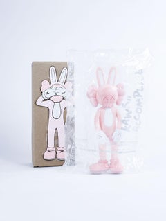 Cómplice (rosa) de KAWS