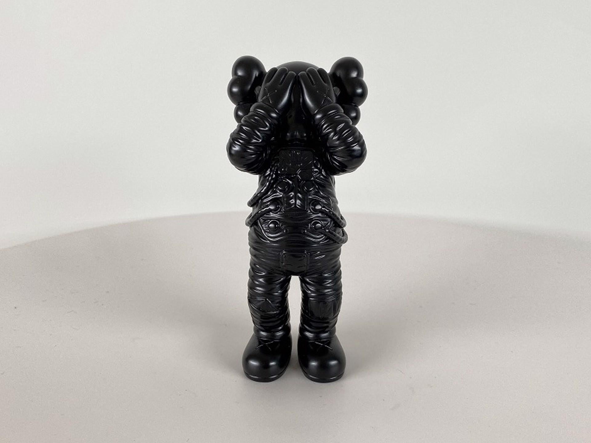 What is KAWS Take open edition?