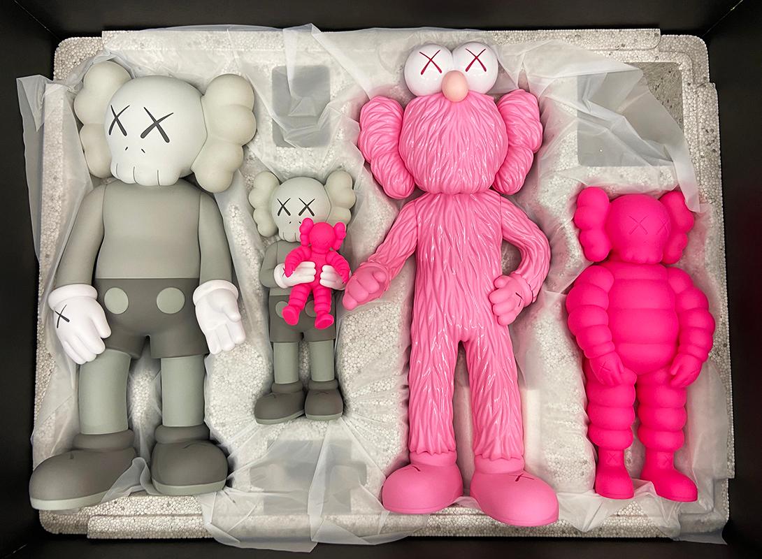 KAWS FAMILY (compagnie familiale KAWS grise) en vente 3