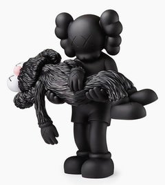 KAWS GONE KAWS BFF Companions (ensemble de 2 ouvrages sur les compagnons de KAWS)