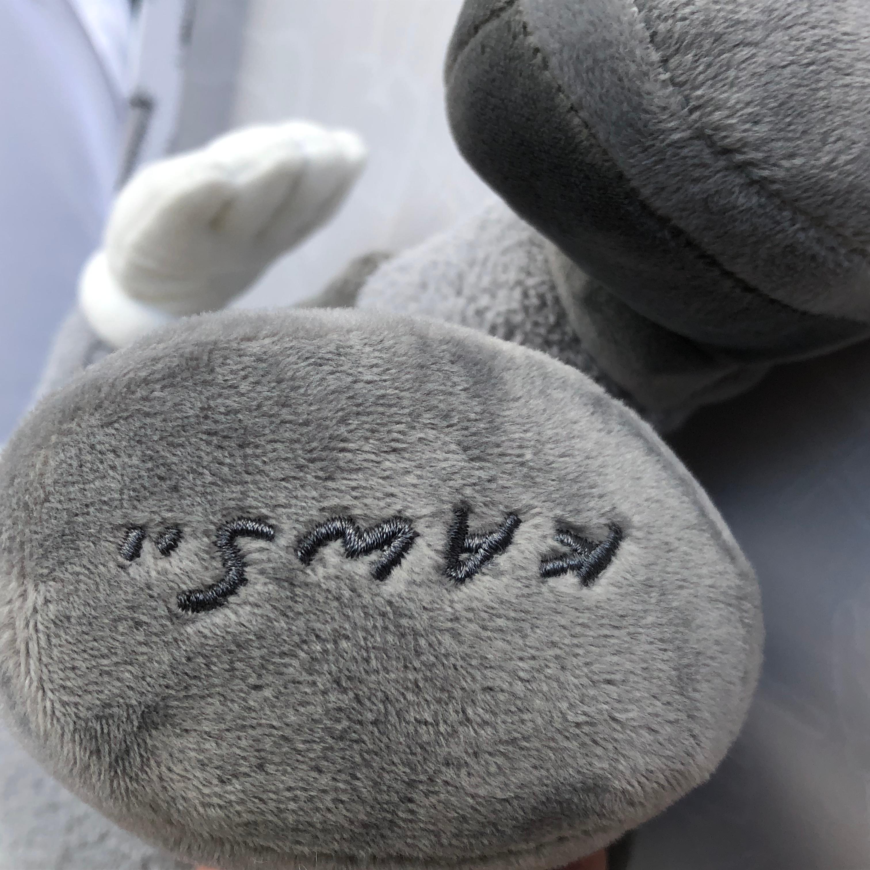 kaws teddy bear