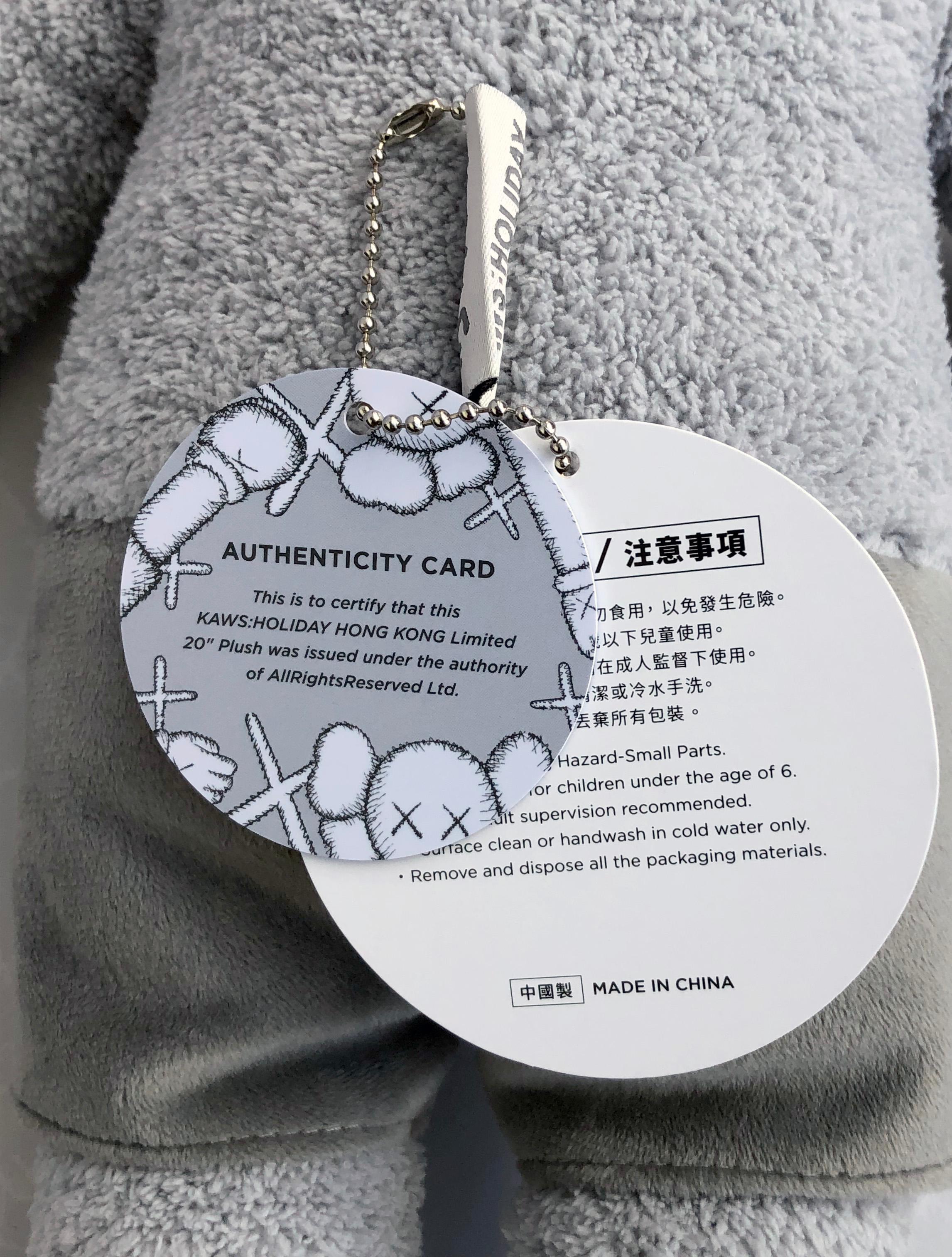 kaws bear