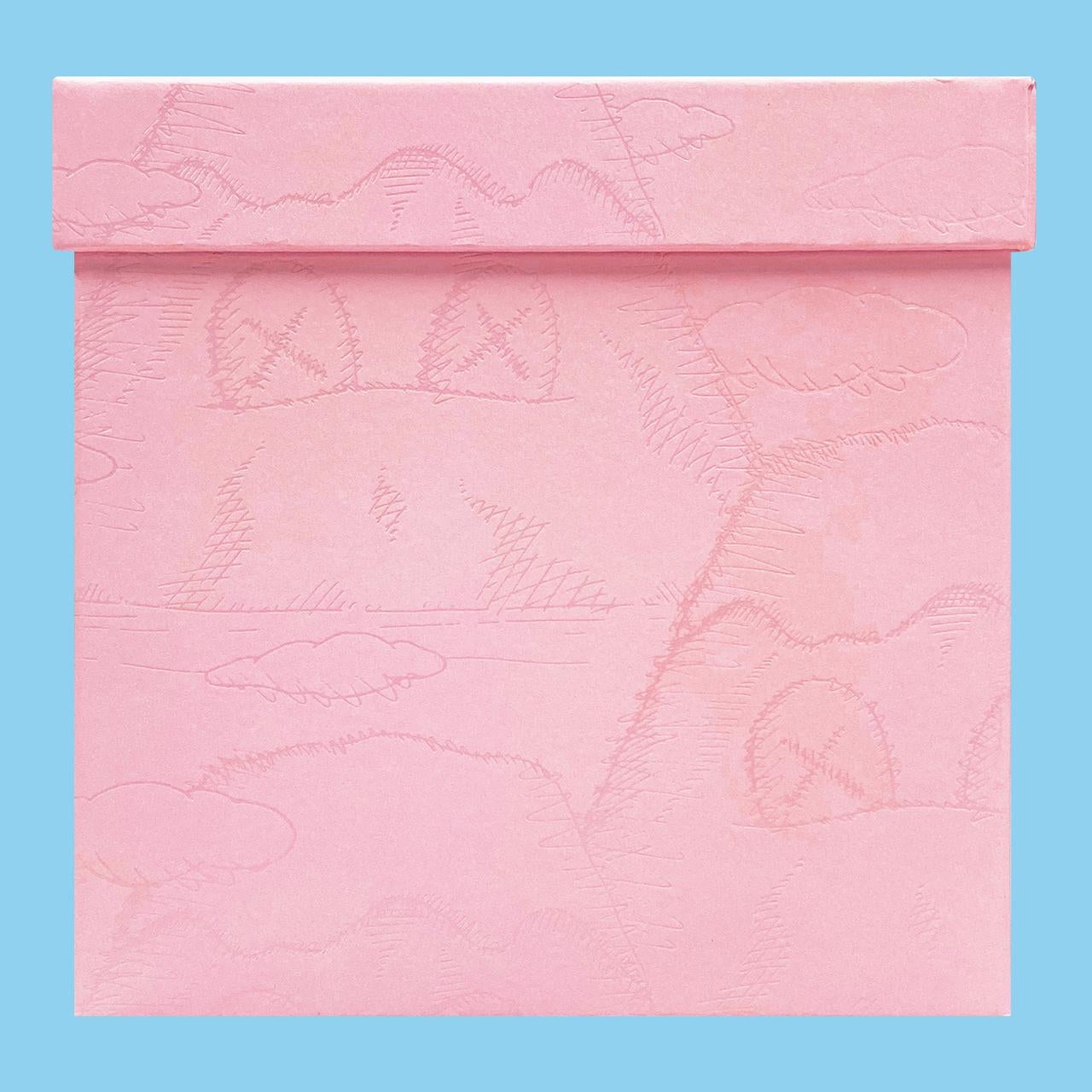 pink kaws plush
