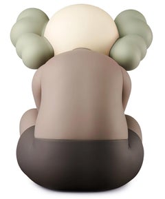 brun KAWS SEPARATED (KAWS brown Separated Companion)
