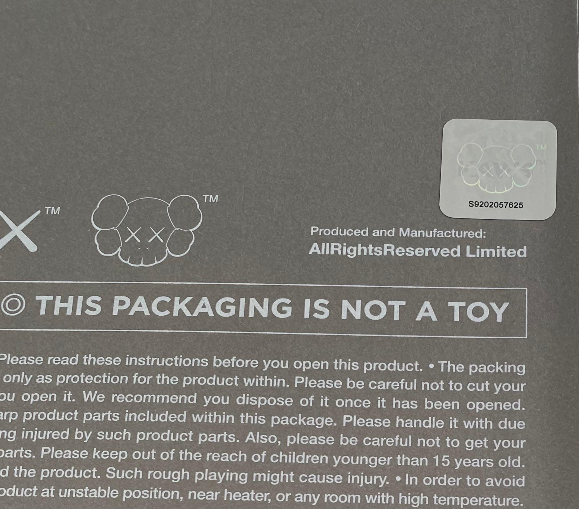 KAWS SEPARATED grey (KAWS grey Separated Companion) 3