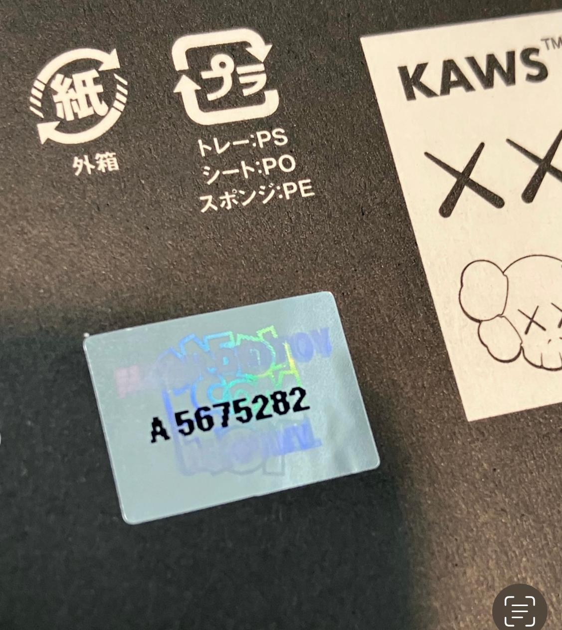 KAWS La Promesa negra (KAWS Promesa negra) en venta 5