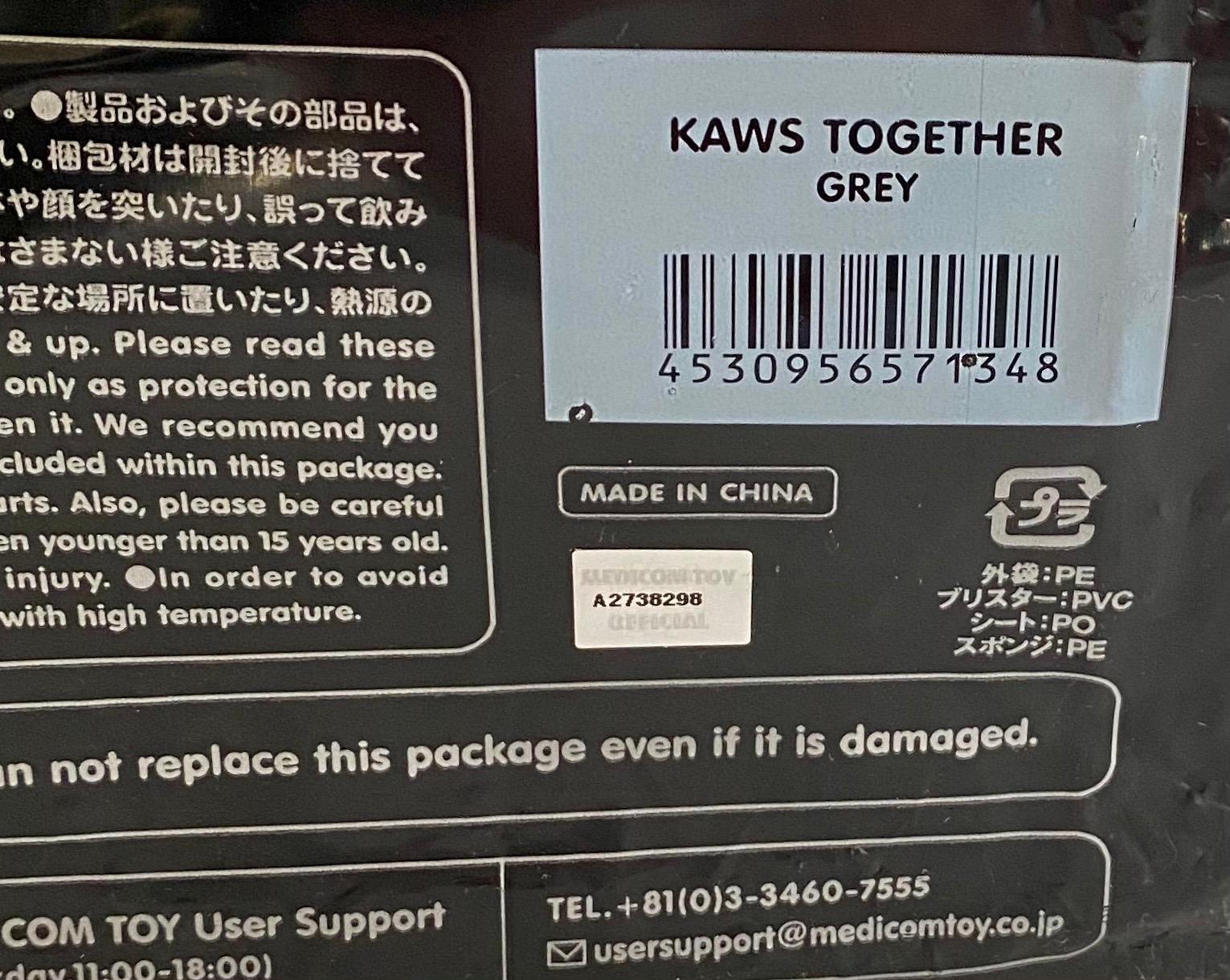 KAWS TOGETHER Grey (KAWS grey together) For Sale 5