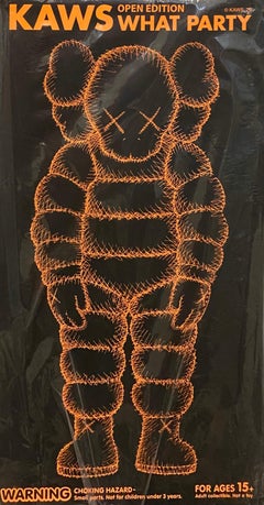 KAWS WHAT PARTY (compagno di KAWS)