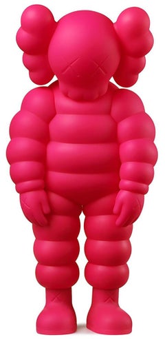 KAWS WHAT PARTY pink (KAWS Chum) 