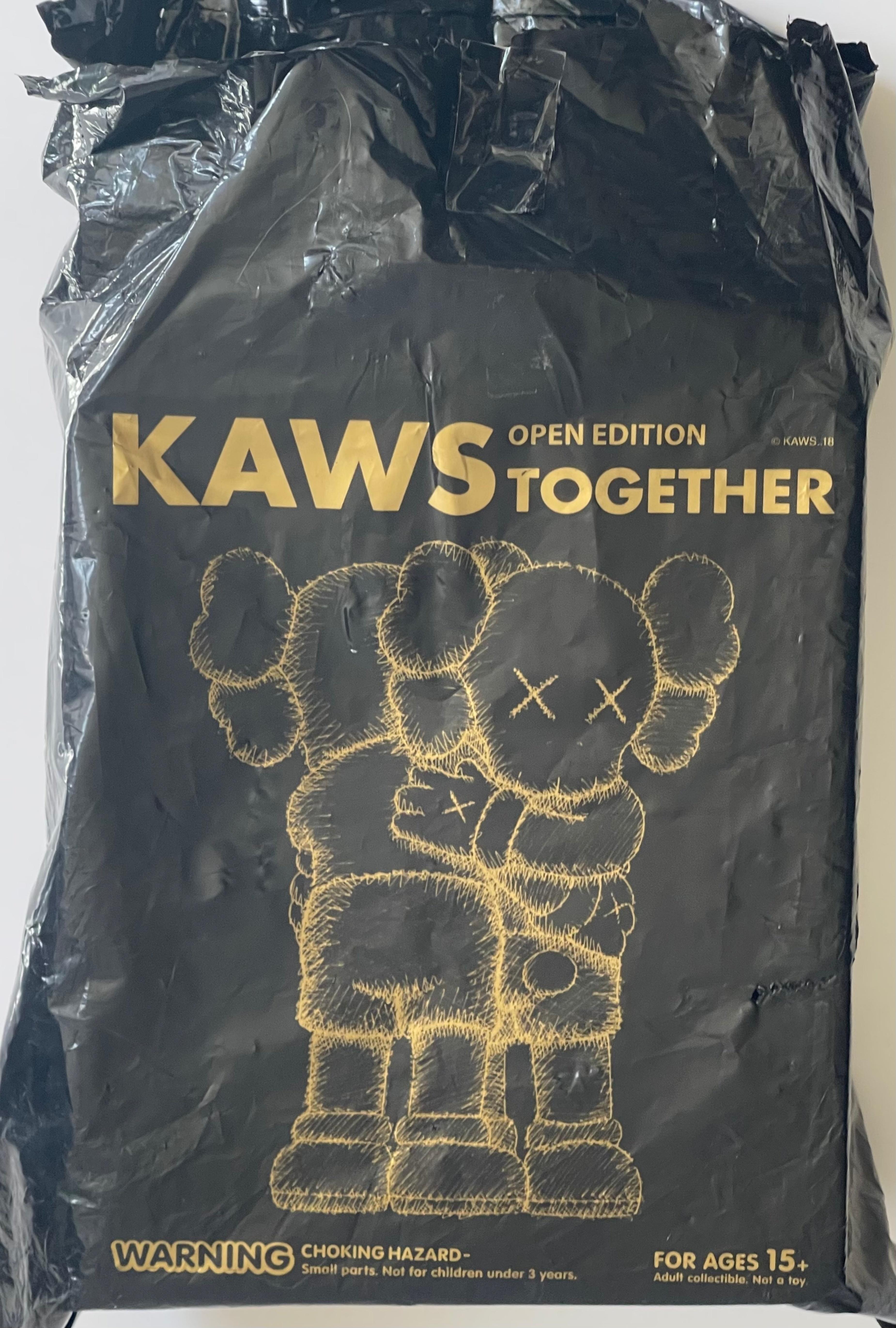 Together Companion (Black) New in original packaging with hologram resin & vinyl For Sale 1