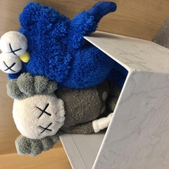 KAWS Seeing Watching (Peluche KAWS)