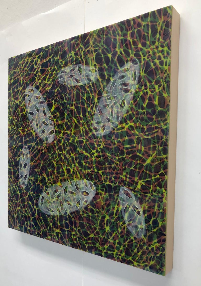 Kay Hartung’s “Bio Patterns 10” is a 20 x 20 x 1.5 inch encaustic painting composed of transparent layers depicting microscopic forms on a richly patterned background. In colors of blue, green, red, yellow and white, the transparent layers create a