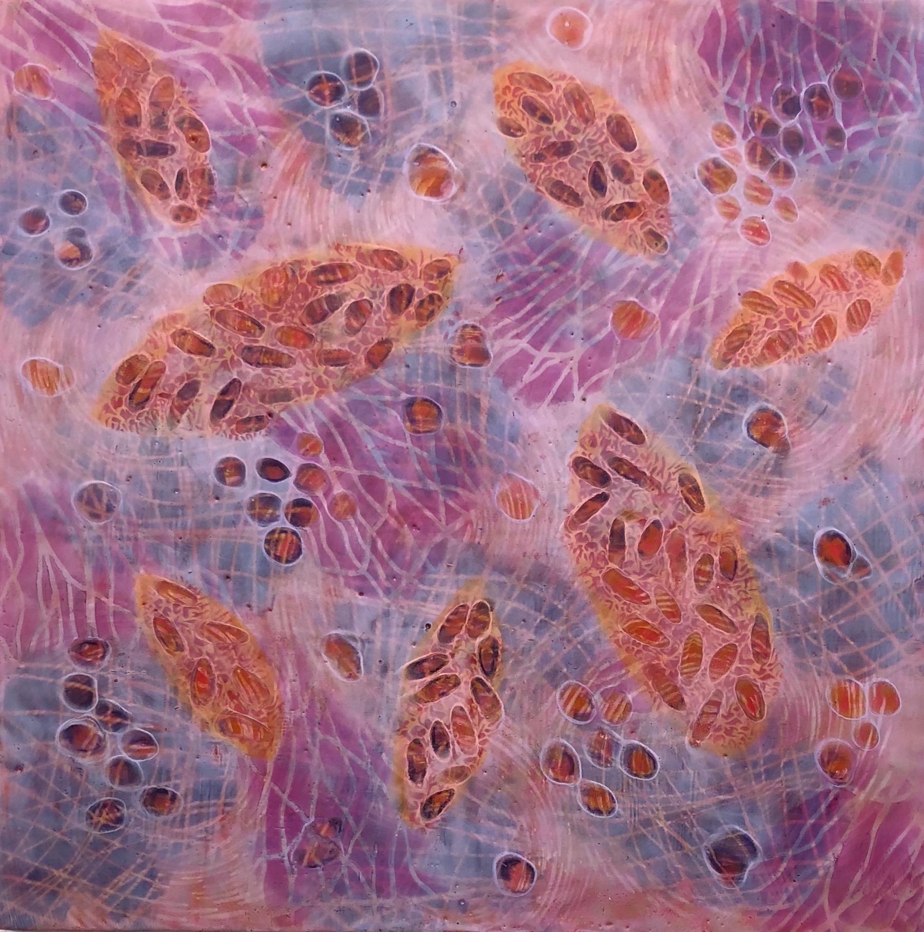 "Bio Patterns 17", encaustic, pastel, abstract, microscopic, pink, orange, white