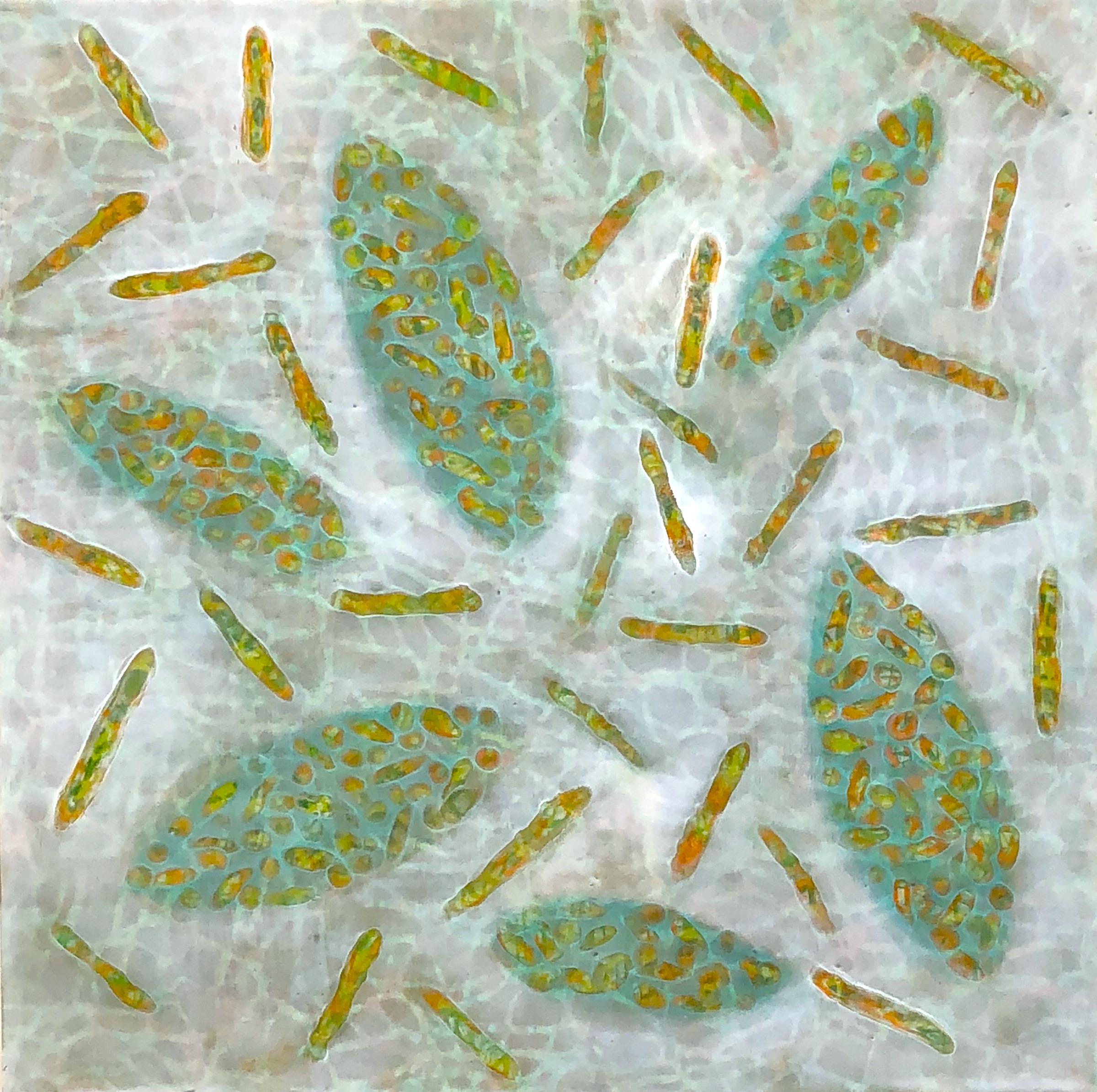 Kay Hartung Abstract Painting - "Bio Patterns 18", abstract, microscopic, green, white, encaustic, pastel