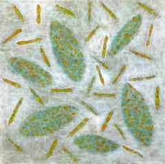 "Bio Patterns 18", encaustic, pastel, abstract, microscopic, green, white