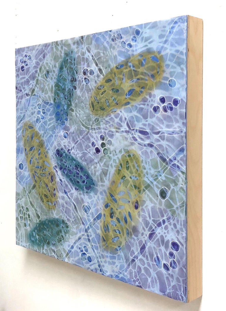 Kay Hartung’s “Bio Patterns 7” is a 20 x 20 x 2 inch encaustic painting composed of transparent layers depicting microscopic forms on a richly patterned background. In colors of blues, green, purple, ochre, and white, layers create a sense of