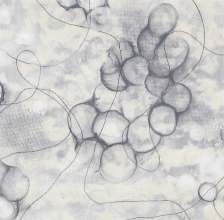 « Bio Shadows 2 », abstrait, microscopique, gris, blanc, peinture à l'encaustique - Abstrait Painting par Kay Hartung